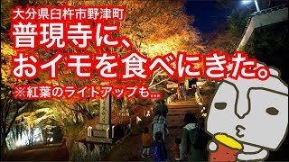 野津町の普現寺におイモを食べに行ってきた（紅葉ライトアップ）@大分県臼杵市