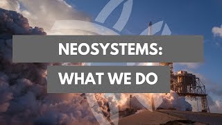 What We Do | NeoSystems