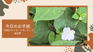 【今日のお手紙　033】「花結びメッセージカード」と絵封筒