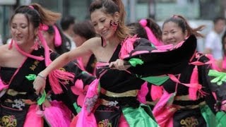 20121006東京よさこい前夜祭(dancecompany　REIKA組)