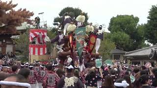 令和5年　八木地区だんじり祭り　本宮【10月8日】