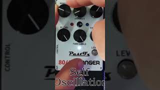 Pastfx 80/A Flanger Self Oscillating #guitar #pedals #Pastfx #flanger #selfoscillation