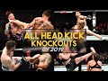 All UFC Head Kick Knockouts of 2019