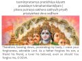 bhagavad gita chapter 11 verse 44