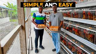 How to Start a SUCCESSFUL POULTRY FARM as a BEGINNER using the BATTERY CAGE SYSTEM in Ghana #poultry