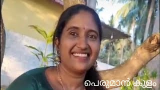 പെരുമാം കുളം#Thamil Nadu #Bwin vlog#amboori #tvm #keralam #travelvlog 🥰🥰