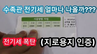 수족관 전기세 얼마나 나올까 [지로용지 인증]