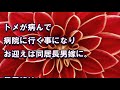 【スカッと 自業自得】末嫁に対して嫁いび○するトメに言葉で反撃してみた結果 → 兄弟全員離婚で義実家崩壊w【デイリー スカッと】