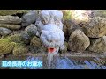 【紀勢本線一人旅】那智の滝