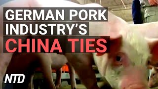 Coronavirus follows communist China ties: German pork industry; DOJ: resist China's influence | NTD