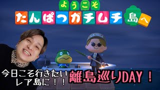 【どうぶつの森配信】今日こそ行きたいレア島に！離島巡りDAYです！！たんぱつガチムチ島での生活376日目の前髪系