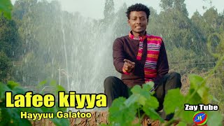 Hayyuu Galatoo - Lafee kiyya - New Ethiopian Music - Oromo cultural video - 2024 new official.