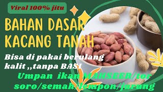 Membuat umpan mahseer dari kacang tanah super gacor persi TUKANG MANCING