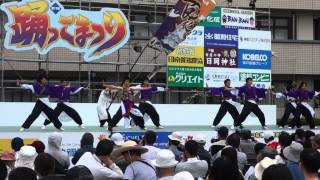 踊っこまつり 本部競技場 クラーク高校よさこいチーム「百花繚乱」20150503