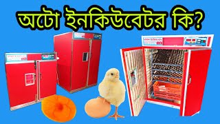 100% অটো ইনকিউবেটর 1200 ও 600 ডিম || egg automatic incubator || 01734-798333 @rabiulIncubator