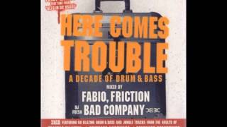 Trouble On Vinyl A Decade Of D\u0026B DJ Friction Mix CD1 (2003)