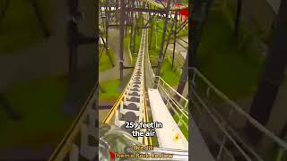 Fujiyama: The KING Of Mountains (Coaster of the Day #107)