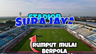 UPDATE stadion surajaya lamongan |Rumput lapangan mulai berpola