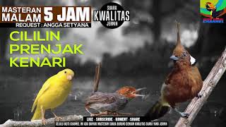 REQUEST MASTERING #31 5 JAM SUARA JERNIH KENARI PRENJAK CILILIN GACOOR JOS GANDOS