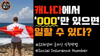 🇨🇦캐나다 SIN넘버 온라인 신청방법ㅣ캐나다 취업ㅣ캐나다 워홀필수정보ㅣSocial Insurance Number Online Application