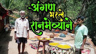 चालता येईना अंगण भरले | कोकणात सुकवला जाणारा वेगवेगळा रानमेवा | Yes महाराजा