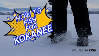 Tips for Ice Fishing for Kokanee