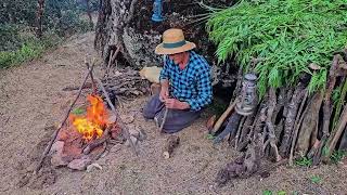 在丛林巨石旁搭建庇护所，烹饪美食🥘#荒野建造 #野外露营 #户外