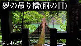 夢の吊り橋(雨の日)