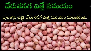 వేరుశనగ విత్తనం వేసే సమయం | Sowing time of Groundnuts in Telangana \u0026 Andhra Pradesh #Groundnuts #K6