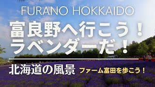 【北海道】【ファーム富田のラベンダーは凄かった‼️】見頃のラベンダーは、畑を歩くだけで香ってきます。