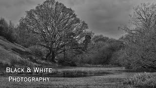 Countryside Photowalk In Black and White