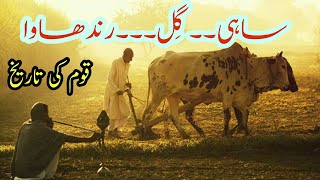 #Sahijutt #Gilljutt #Randhawajutt History Of Jutt Tribe In Urdu/Hindi | Sahi | Gill | Randhawa Caste