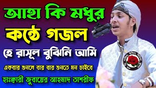 আহা কি মধুর কন্ঠে গজল। হে রাসূল বুঝিনি আমি। হাঃক্বারী জুবায়ের আহমাদ তাশরীফ। md nazim uddin media