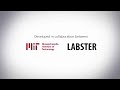 Labster & MIT Virtual Lab Simulations