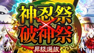 【ナルコレ】神忍祭✕破神祭ガチャ　カグヤ様が欲しい！カグヤ様が欲しい！