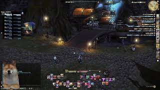 【FF14】極シタデルボズヤ付き添い戦