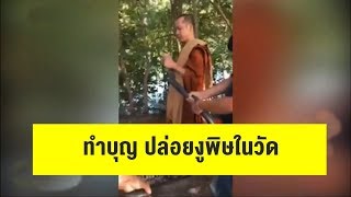 ชาวบ้านผวาหวั่นงูหลุดเข้าบ้าน หลังพระสุรินทร์ปล่อยงูพิษสะเดาะเคราะห์