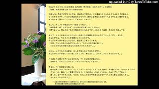 日本キリスト教団 京北(きょうほく)教会　 2022年6月19日(日)礼拝説教(live版)