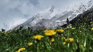 Frost statt Frühling - Wintereinbruch in Ost- und Zentraleuropa