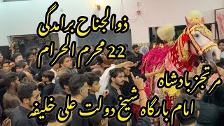 zuljana baramdagi | 22 muharram | imam barga shk dolat Ali | murtajiz badshah |