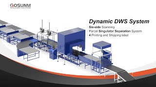 Dynamic Dws \u0026 Parcel singulator separation System with Printing and Shipping label