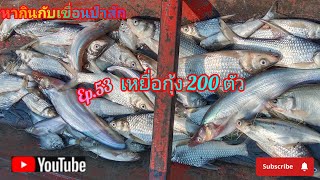 Ep.53 เหยื่อกุ้ง 200 ตัว #fishing #ตกปลา #ตกกุ้งแม่น้ำ #นั่งเรือตกปลา #หากินกับเขื่อนป่าสัก