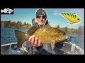 Lipless Crankbaits Excel for Fall Bass in Rivers