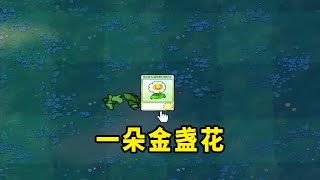 【植物大戰僵尸】金盞花：我不是你姐！