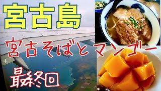 宮古島ラスト！美味しい宮古そばとマンゴーでお腹を満たして宮古島の旅を締めます！【宮古島観光 LAST】