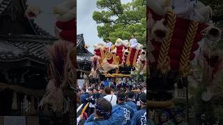 【よす】雨にも負けず！中百舌鳥町ふとん太鼓 宮出運行　#百舌鳥八幡宮月見祭　#中百舌鳥町 #ふとん太鼓 #太鼓台 #ふとん太鼓台 #だんじり #地車 #百舌鳥八幡宮 #月見祭 #祭り #shorts