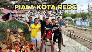 Piala Kota Reog (PBI) JATUH BULU BAWA KACER BARU & KENARI TETEP GAS 🫵🏻🥶