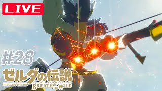 ゼルダの伝説 ブレス オブ ザ ワイルド #28