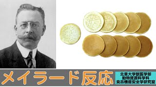 【北里大学獣医学部 動物資源科学科】研究紹介 食品機能安全学研究室（メイラード反応）