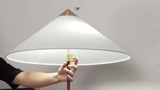 Chinese Hat Floor Lamp